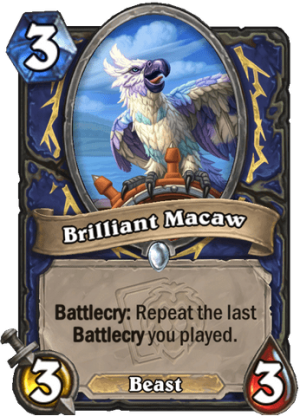 Brilliant Macaw Card